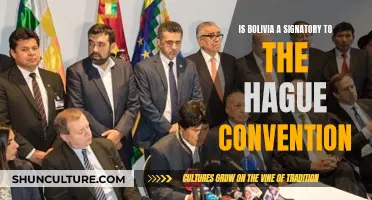 Bolivia and the Hague Convention: What's the Deal?