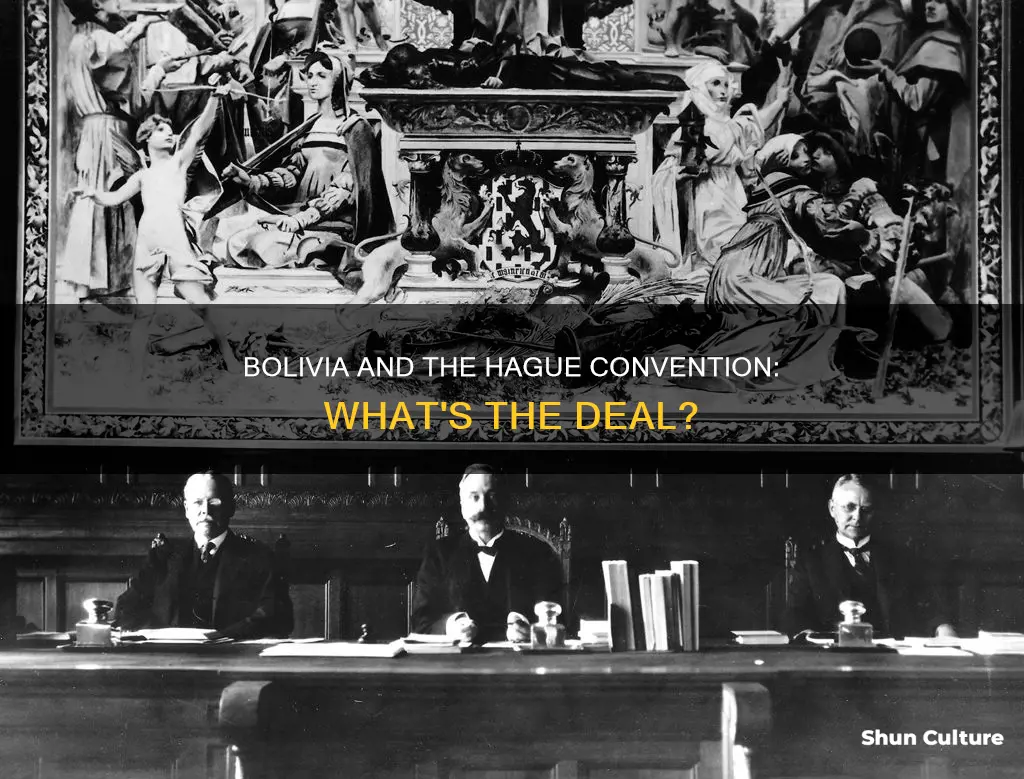 is bolivia a signatory to the hague convention