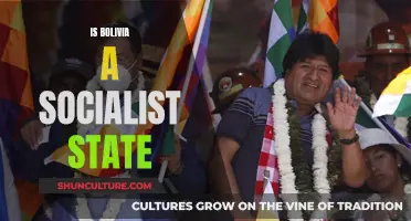 Bolivia's Socialist State: A Comprehensive Overview