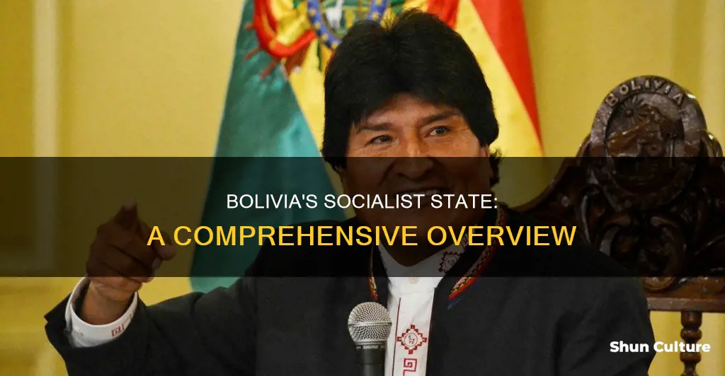 is bolivia a socialist state