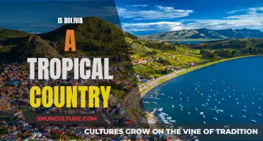 Bolivia's Tropical Nature: A Country's Climate Identity