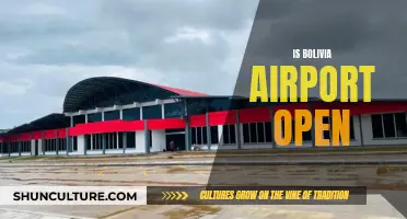 Bolivia Airport: Open for Business or Still Closed?