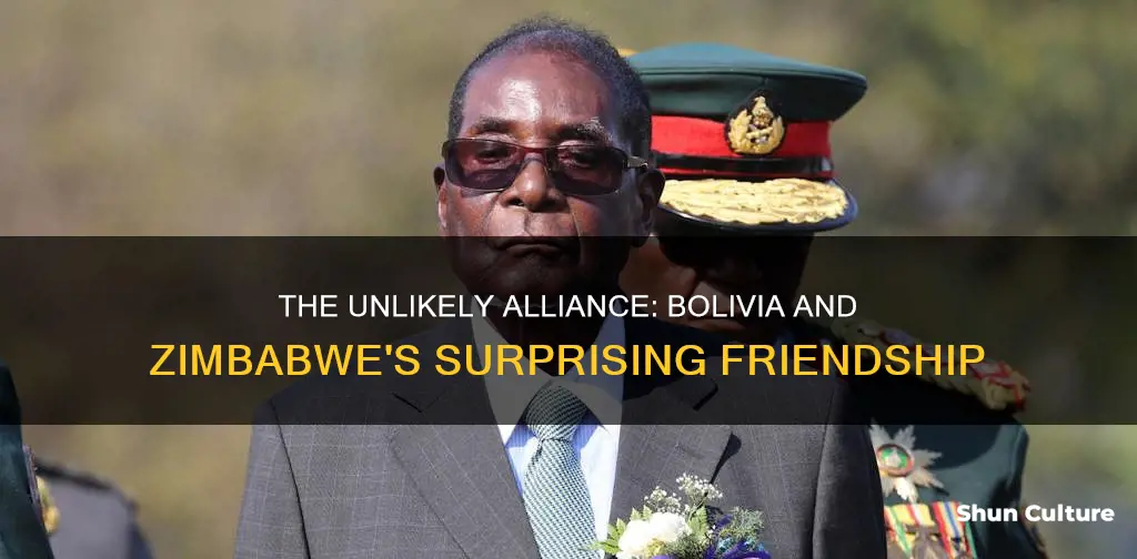 is bolivia an ally of zimbabwe