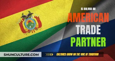 Bolivian-American Trade Relations: Exploring the Partnership