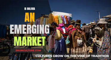 Emerging Markets: Bolivia's Economy and Future Prospects