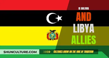 Bolivia-Libya: Allies or Not?