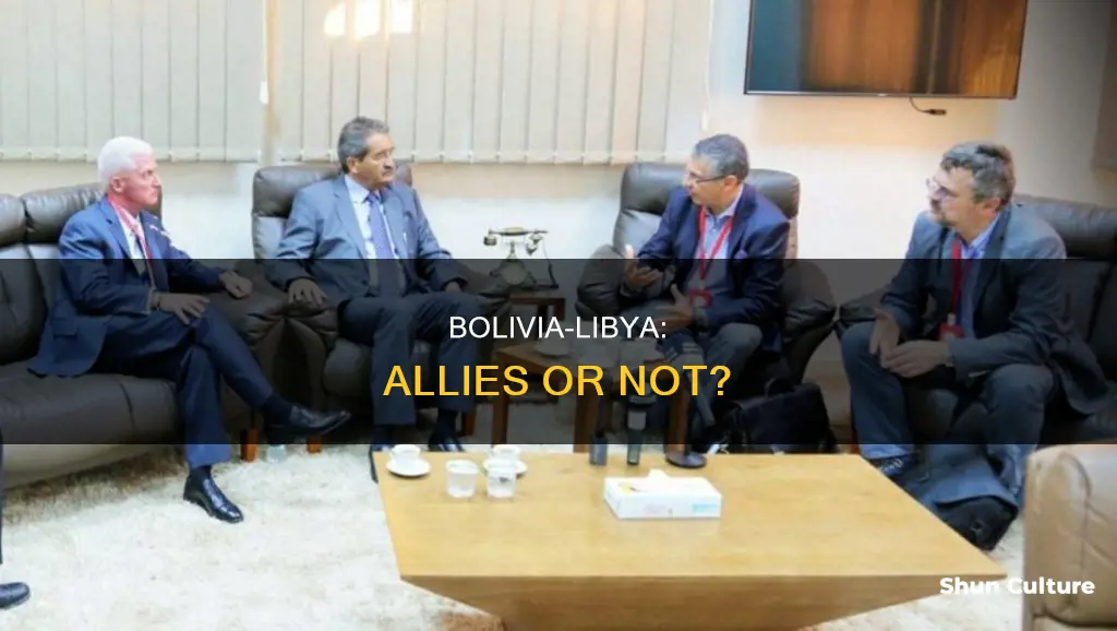 is bolivia and libya allies