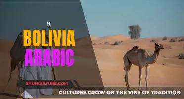 Bolivia: An Arabic Nation? Exploring Cultural Roots