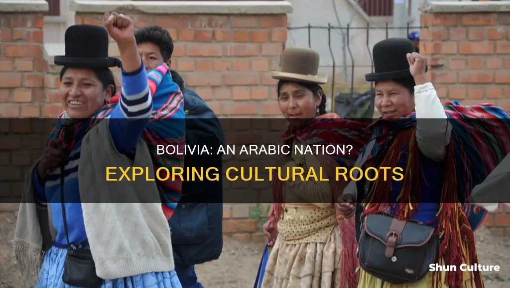 is bolivia arabic