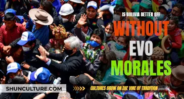 Bolivia's Future: Evo Morales' Legacy and Beyond