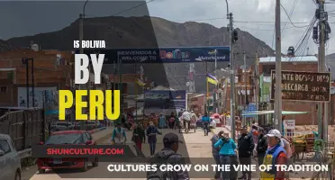 Bolivia and Peru: Are They Neighbors?