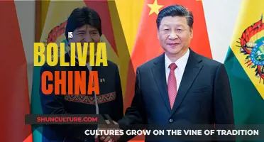 Bolivia and China: A Cultural Comparison