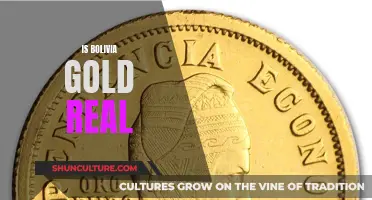 Unveiling Bolivia's Gold: Fact or Fiction?