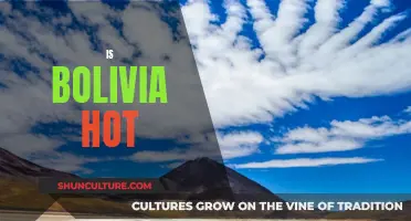 Bolivia's Climate: Hot or Not?