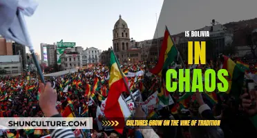 Bolivia's Turbulent Times: Chaos and Uncertainty