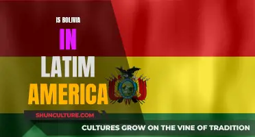 Exploring Latin America: Is Bolivia a Part of It?