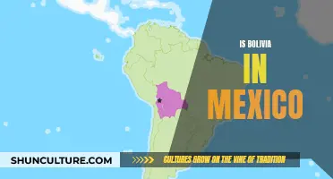 Bolivia and Mexico: Two Distinct South American Nations