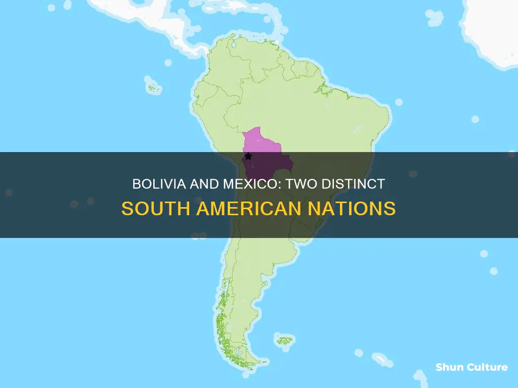 is bolivia in mexico