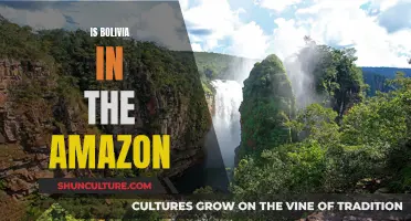 Exploring Bolivia: Amazonian Adventure and Beyond