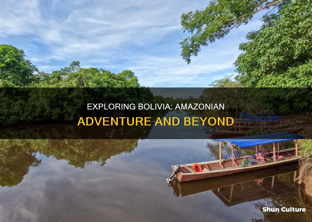 is bolivia in the amazon