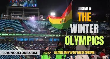 Bolivia's Winter Olympics Participation: Who, What, and Where?