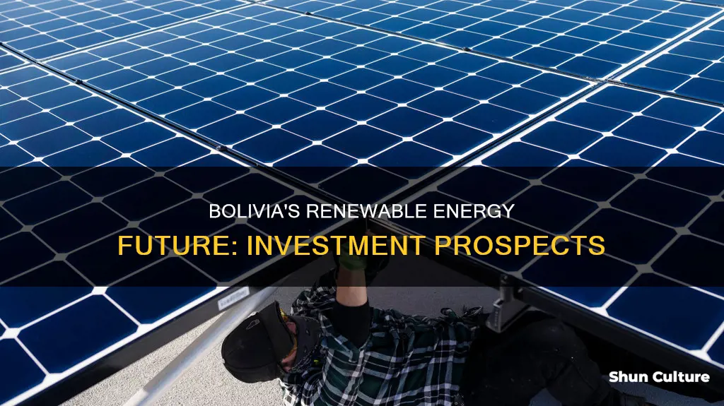 is bolivia investing in renewable energy