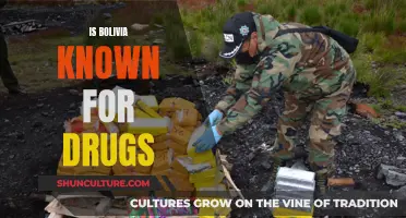 Bolivia's Drug Trade: A Complex History and Reputation