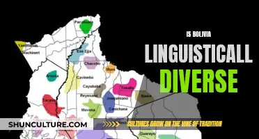 Bolivia's Rich Linguistic Diversity Explored