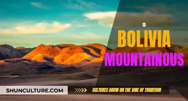 Bolivia's Mountainous Landscape: A Natural Wonder