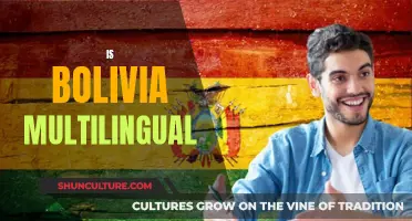 Bolivia's Multilingual Reality: A Complex Cultural Landscape