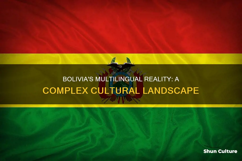 is bolivia multilingual