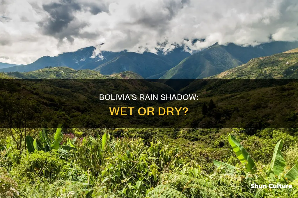 is bolivia on the wet side of rain shadow