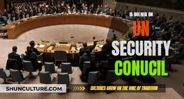 Bolivia's UN Security Council Membership: What Does It Mean?