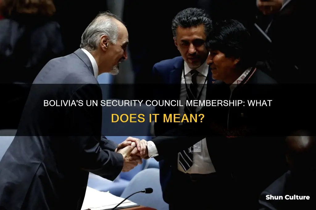 is bolivia on un security conucil