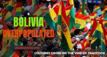 Exploring Overpopulation in Bolivia: Is It a Concern?