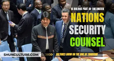 Bolivia's Place in the UN Security Council