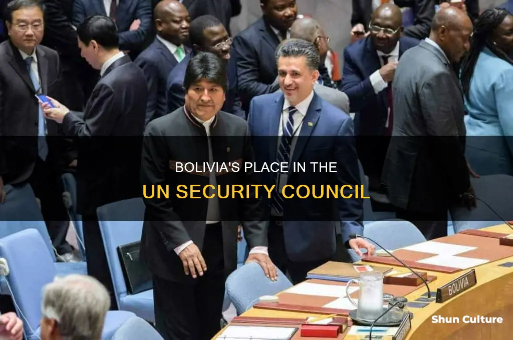 is bolivia part of the united nations security counsel