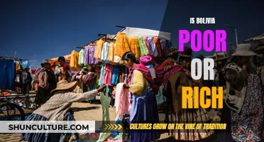 Bolivia: Rich in Resources, Poor in Wealth Distribution