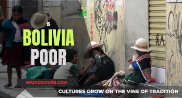 Bolivia's Poverty: A Complex Reality Explored