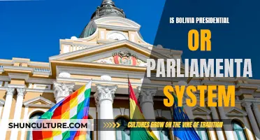 Bolivia's System: Presidential or Parliamentary?