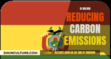 Bolivia's Carbon Neutrality Pledge: Progress and Prospects