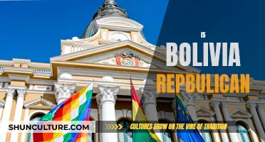 Bolivia's Political System: A Republican Overview