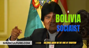 Bolivia's Socialist Shift: A Comprehensive Overview