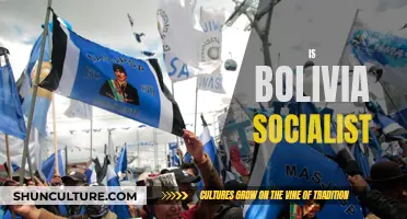 Bolivia's Socialist History: A Complex Political Journey