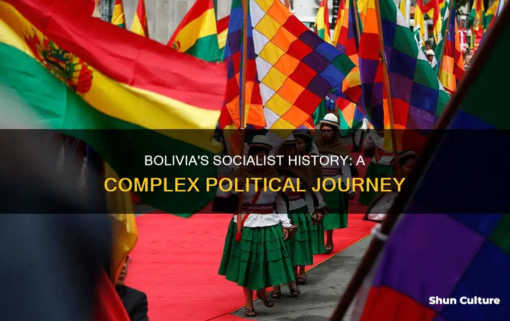 is bolivia socialist