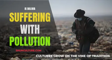 Bolivia's Pollution Crisis: A Country's Struggle