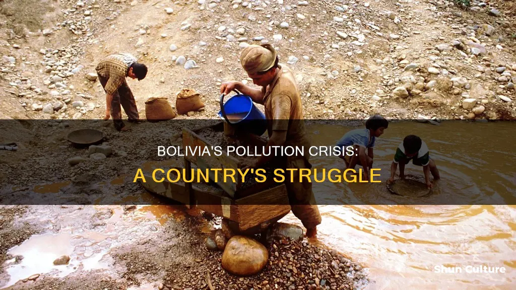 is bolivia suffering with pollution