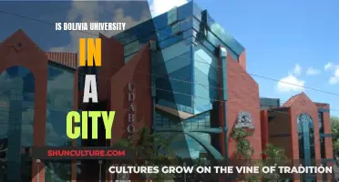 Bolivia University: City Campus Experience?