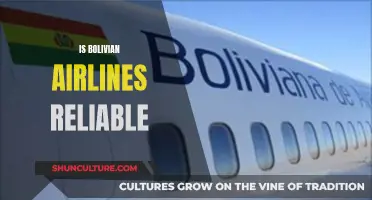 Bolivian Airlines: Reliable or Risky Travel Option?