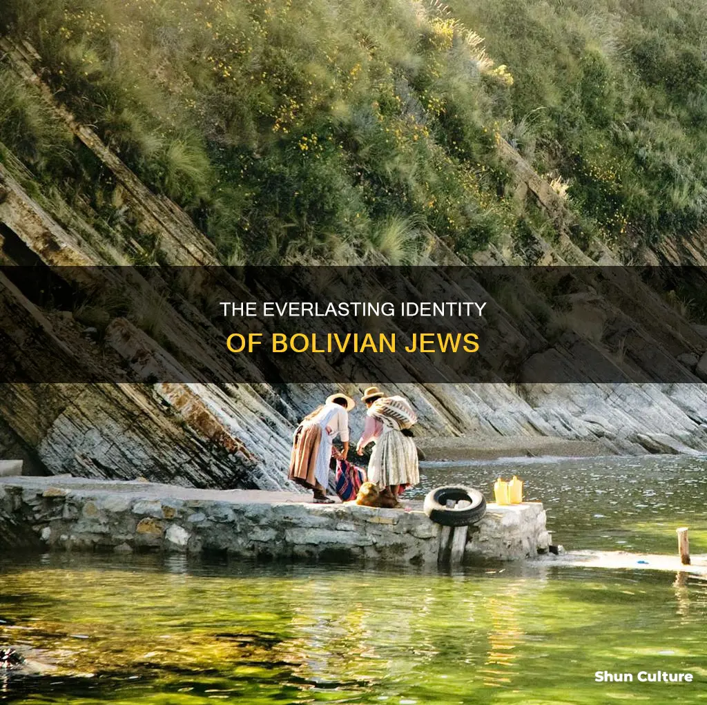 is bolivian jew a perennial